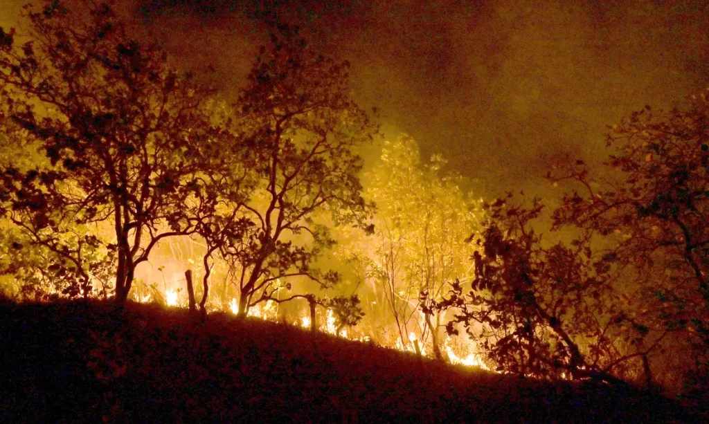 Governo federal tem 15 dias para mobilizar combate aos incêndios no Pantanal e na Amazônia