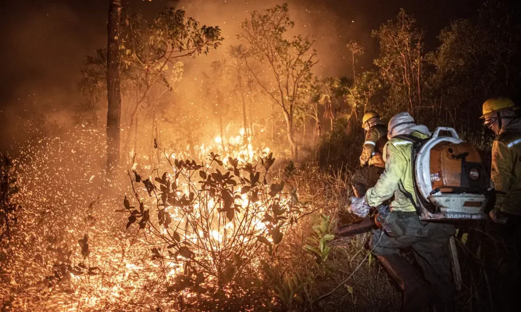 Incêndios florestais: sobe para 18,9 milhões o número de pessoas afetadas e R$ 2 bilhões em prejuízos